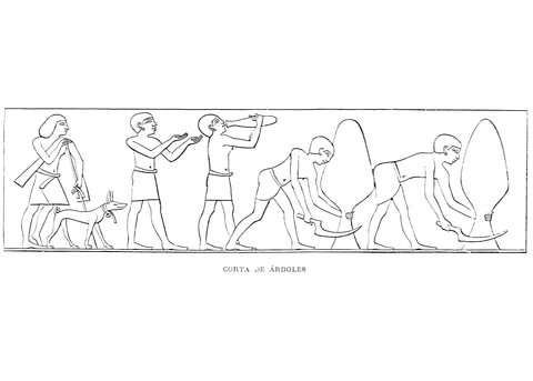 Ancient Egyptian Depiction Of Felling Coloring Page